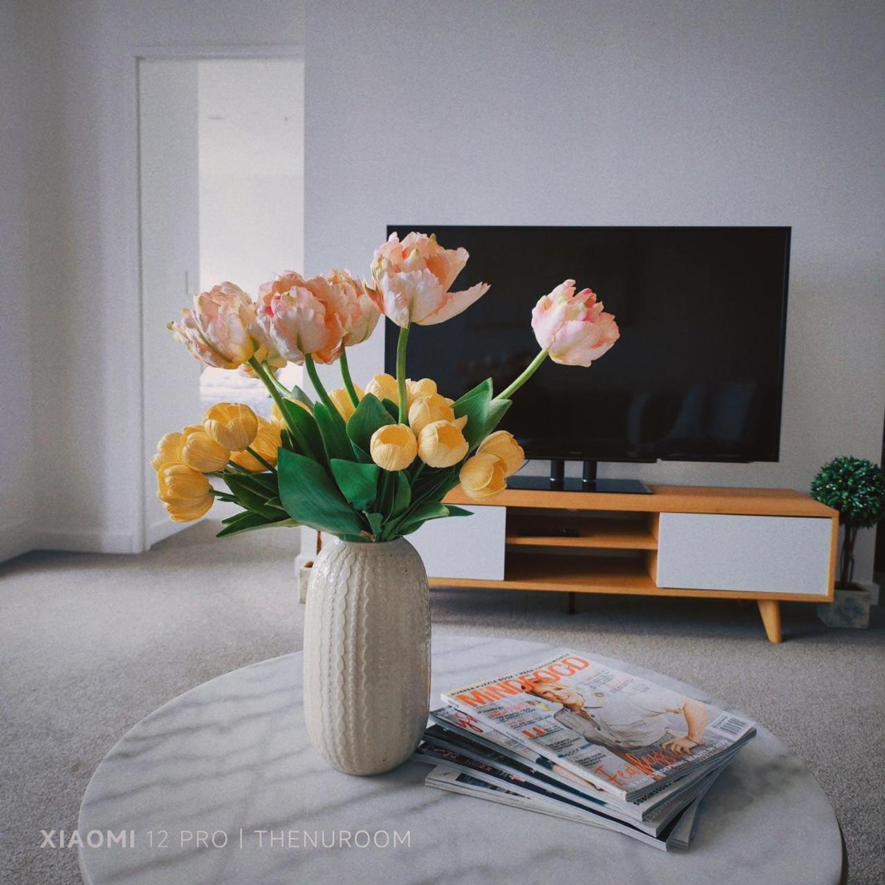 Auckland Birkenhead Bnb Ngoại thất bức ảnh